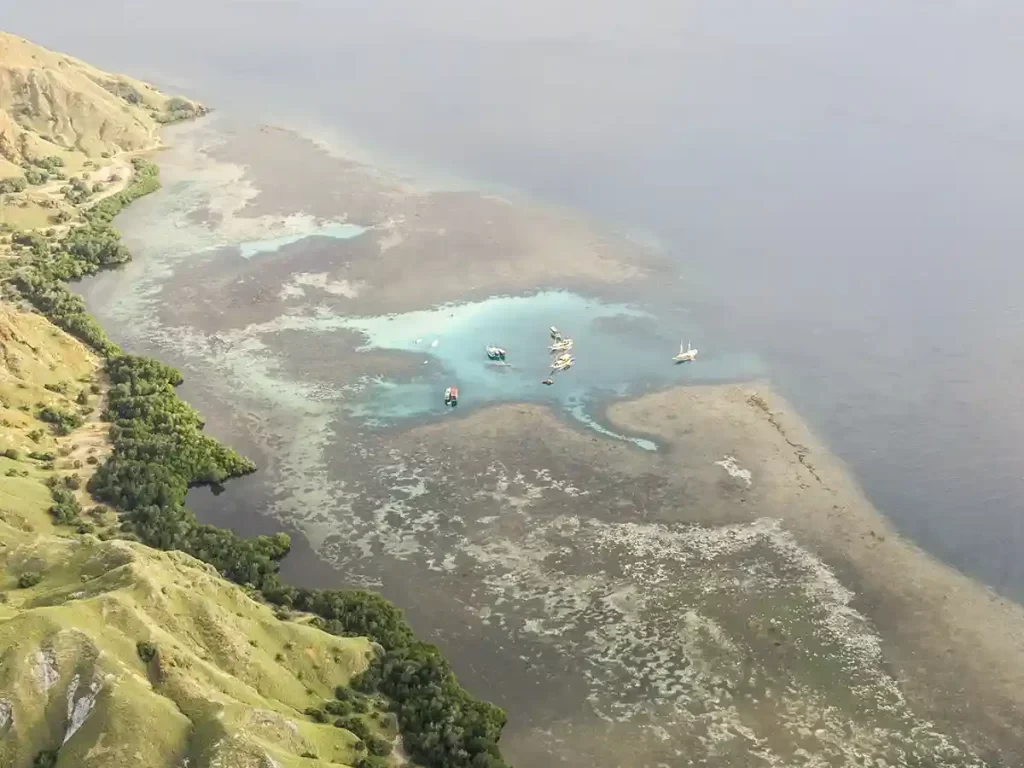 Moment With Devita Cruise